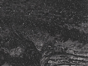 Corian Cosmos Prima