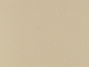 Corian Raffia